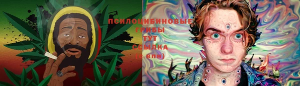 ПСИЛОЦИБИНОВЫЕ ГРИБЫ Белокуриха