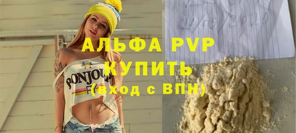 индика Беломорск