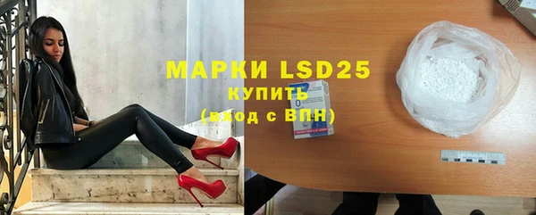 ПСИЛОЦИБИНОВЫЕ ГРИБЫ Белокуриха