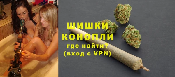 индика Беломорск