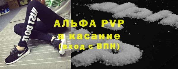 индика Беломорск