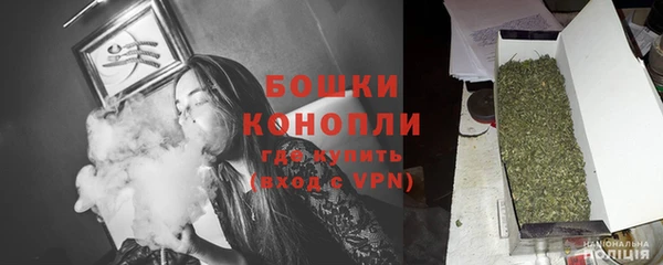 ПСИЛОЦИБИНОВЫЕ ГРИБЫ Белокуриха