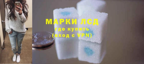 индика Беломорск