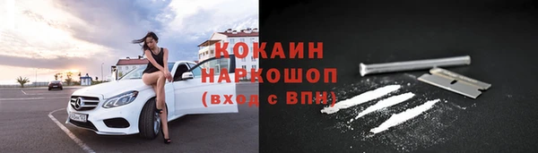 индика Беломорск