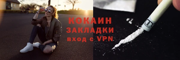 ПСИЛОЦИБИНОВЫЕ ГРИБЫ Белокуриха