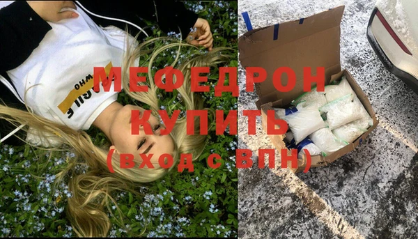 индика Беломорск