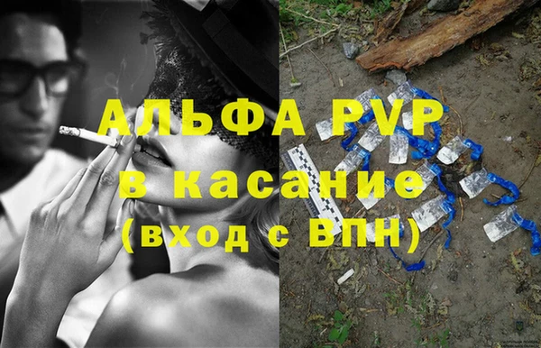 ПСИЛОЦИБИНОВЫЕ ГРИБЫ Белокуриха