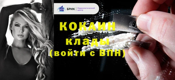 индика Беломорск