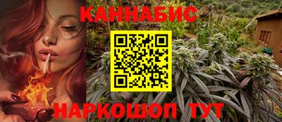 Альфа ПВП Дмитров