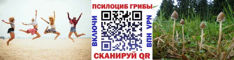 Галлюциногенные грибы ЛСД  блэк спрут маркетплейс  Маркс 
