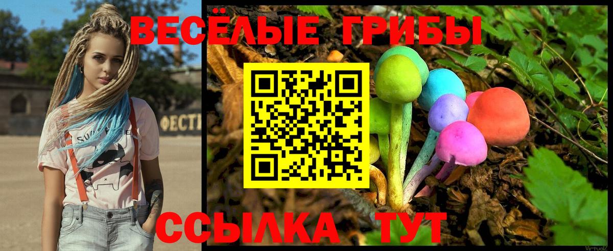 Маркс  Галлюциногенные грибы Cubensis  Вход с VPN 